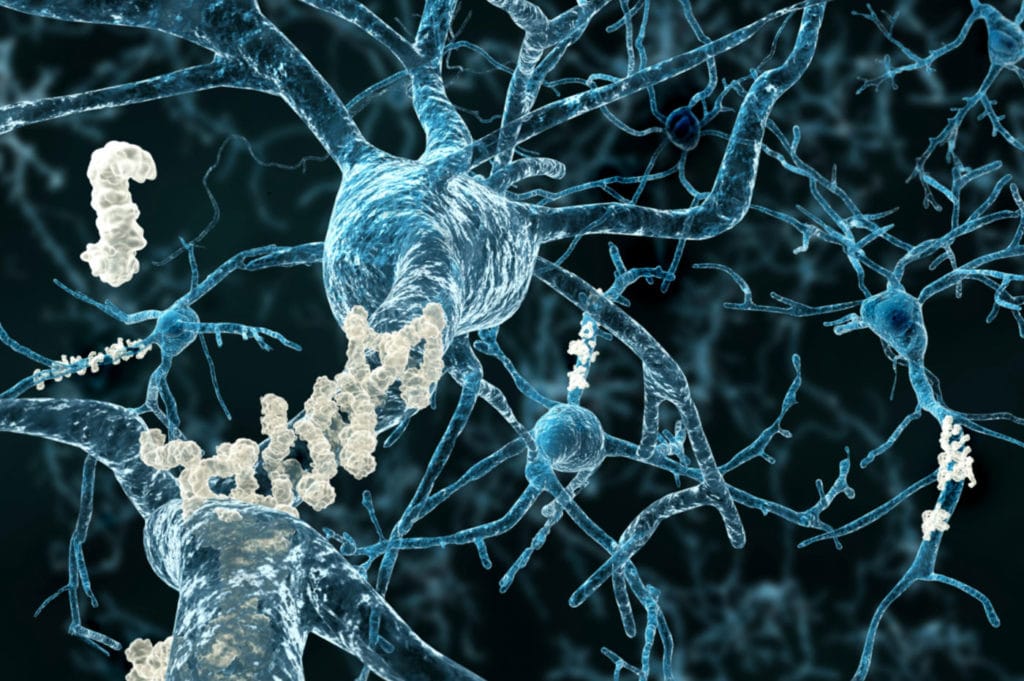 本文涉及阿尔汉德希赫博士的研究,将合成有机化学与生物化学和分子生物学相结合,以研究蛋白质 - 蛋白质相互作用。
