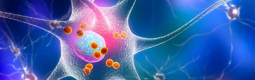 Ehsani博士相信细胞生物学的理论基础可以转化为治疗各种疾病的实际进展。