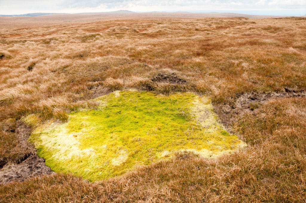 在这篇文章中，布斯教授和霍奇基斯的研究使用了威斯康星州北部壶洞生态系统中保存的古生态记录，来评估气候引起的生态系统状态变化的潜力，以及这些事件的生态影响。