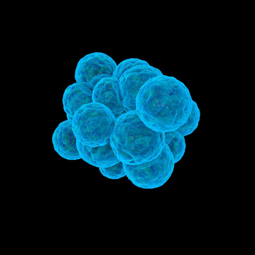本文是关于刘刘教授和Noireaux的项目目标是构建合成细胞，由包封在细胞尺寸的磷脂囊泡中的无细胞表达系统，能够通过表达机械敏感性通过其脂双层来感测环境。