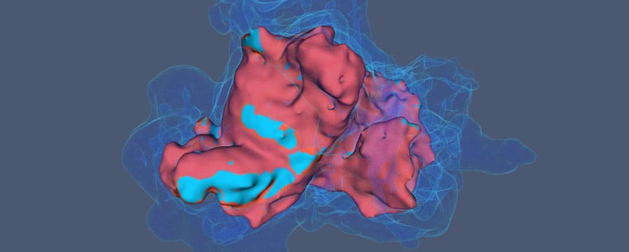 Dr. Darin T. Okuda研究拓展