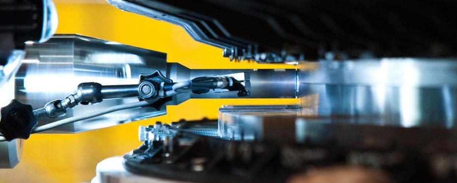 ElenaJasižnienė博士研究外展