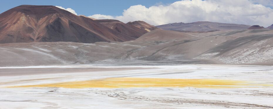 智利的酸性盐水湖泊：令人惊讶的微生物群落