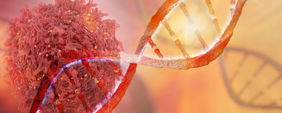 卵巢癌治疗的激动促进