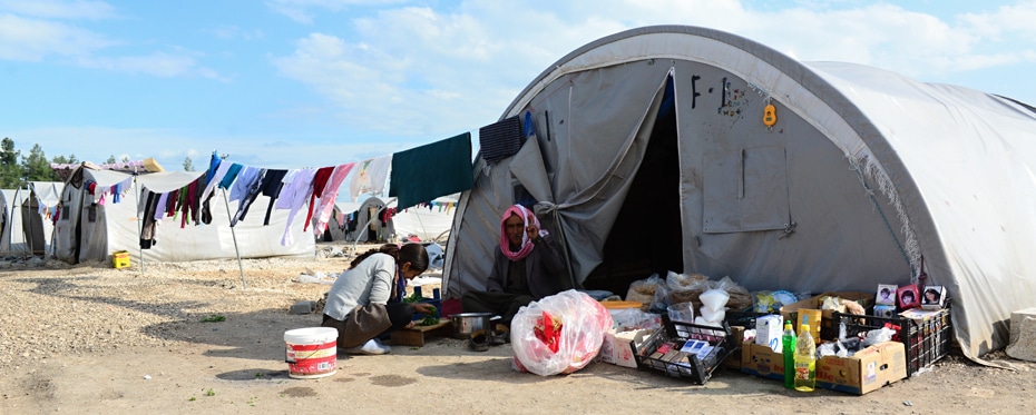 团结与移民与难民研究