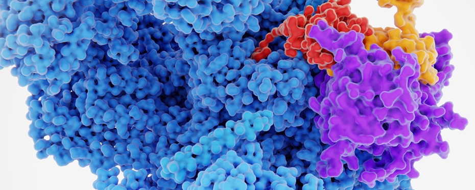 靶向蛋白质降解：治疗疾病的新方向