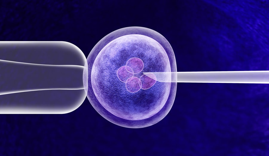 引导CRISPR-Cas9进化以增加特异性