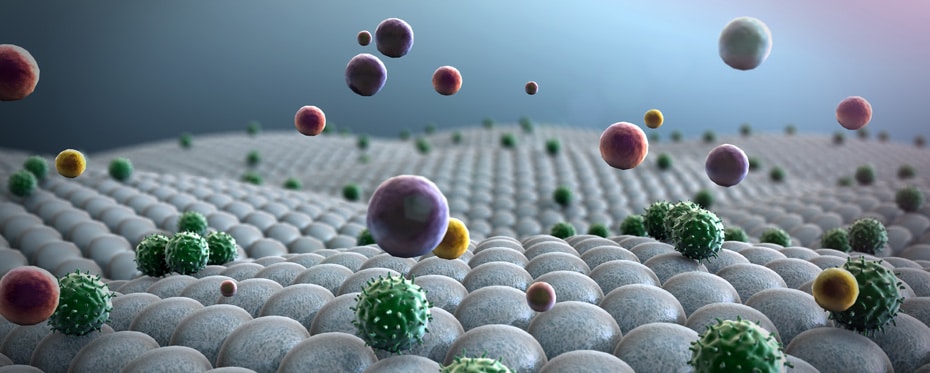 使用物理探索病毒自组装