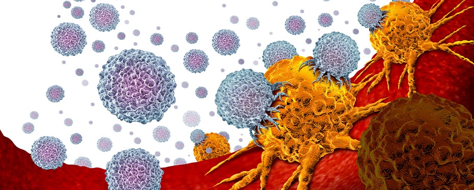 现成的免疫疗法可能导致更容易获得的癌症治疗
