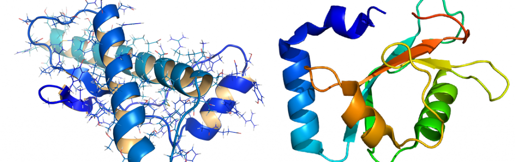 在ev中可以观察到朊蛋白和GABARAP蛋白。