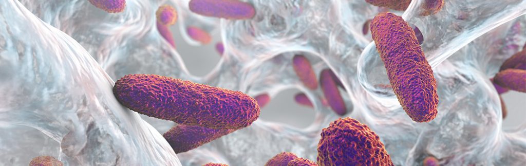 细菌生物膜是一个显著的公共卫生挑战。