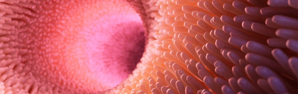 炎症性肠疾病和上皮屏障功能