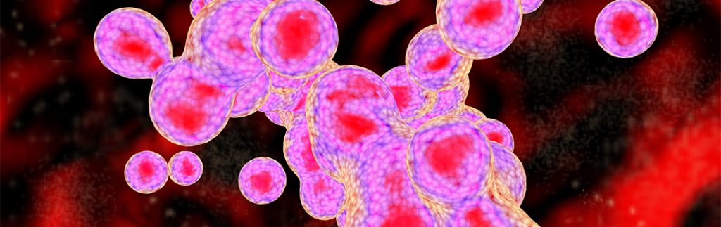 化学，电气和机械刺激在各种生化途径中的触发活动。