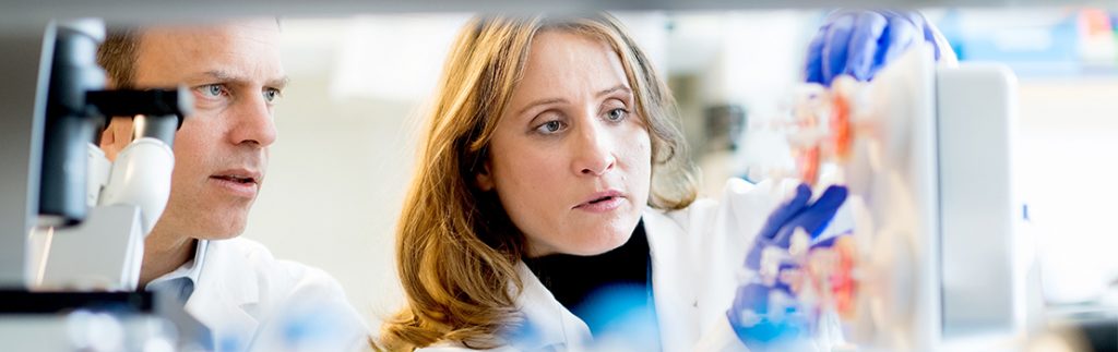 Schrepfer博士和Dr Deuse博士进行干细胞研究