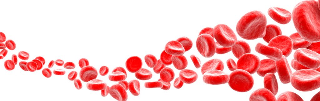 有序行中的血细胞