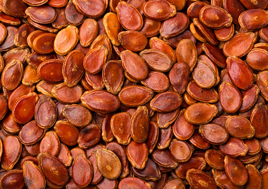 种子可携带病毒和病原体