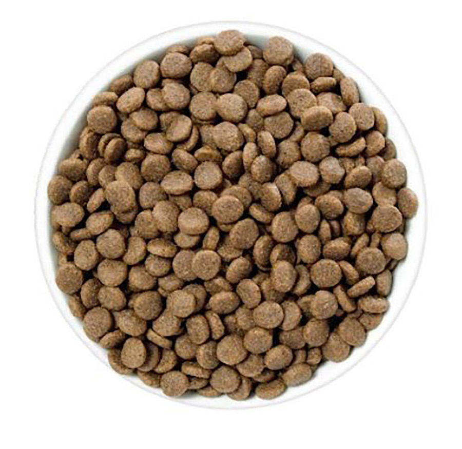 猫喂不同食物时研究饮食蛋白质水平