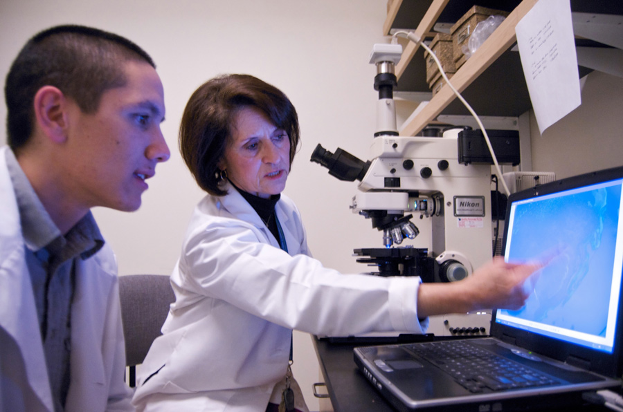 一男一女穿白外套看笔记本电脑女人靠前指向屏幕上的东西Martins-Green研究慢性伤口开发