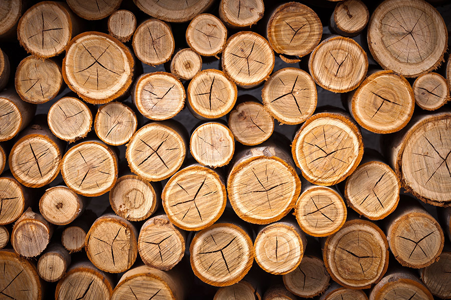 跨段视图大片木 跨粒