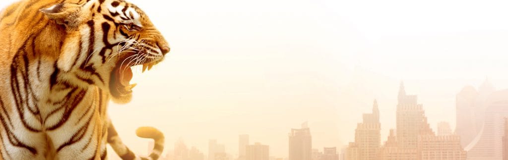 开放气候正义今年主题开放访问周2022