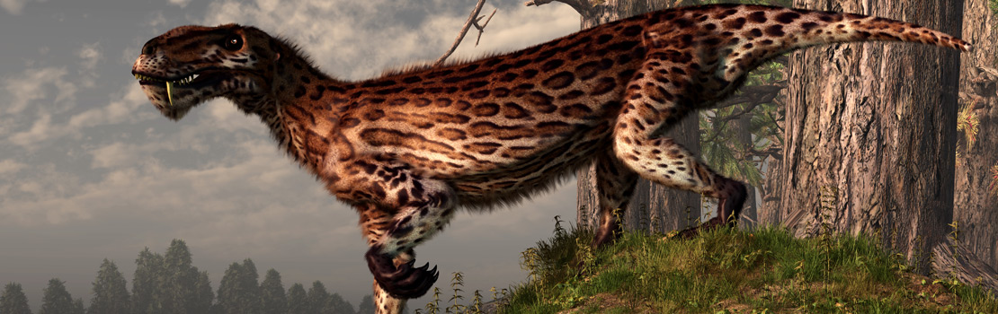 研究者追踪毛囊的发源和进化过程,它可能在哺乳动物进化前