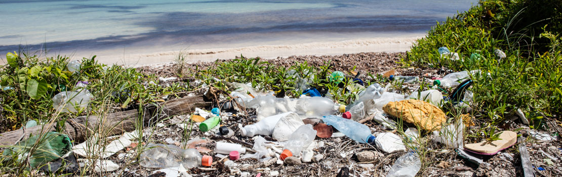 沙滩塑料污染加勒比小岛屿发展中国家海洋垃圾研究对保护当地社区和生态系统不受塑料污染影响至关重要。解决海洋废弃物所造成的损害的工作正受到“降落伞科学”的破坏,来自小岛屿发展中国家外的科学家不咨询或配合当地专家就进行研究和离开。Aleke Stöfen-O'Brien博士和她在瑞典世界海洋大学的同事正在处理这一重要问题,以促进更公平和可持续的海洋治理与国际科学协作