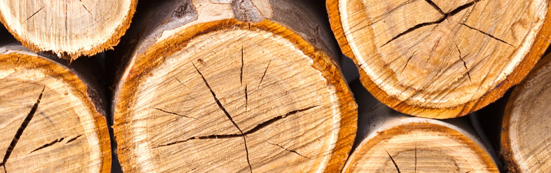 交叉切片木Serene Gambarelli和Josipa Bosnjak研究软硬木容积并使用数值模型捕捉木工复杂行为,以加深我们对拟用于建设的材料的理解