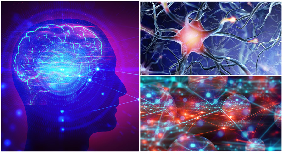 自组织化在发展仿真脑功能的AI系统时越来越多地得到考虑